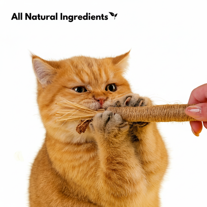 Nestura™ Natural Silvervine Dental Sticks