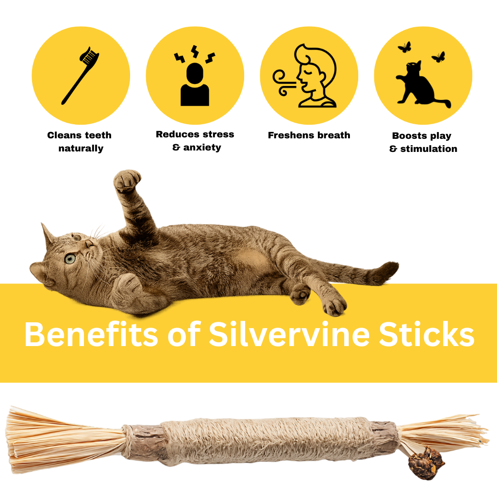 Nestura™ Natural Silvervine Dental Sticks