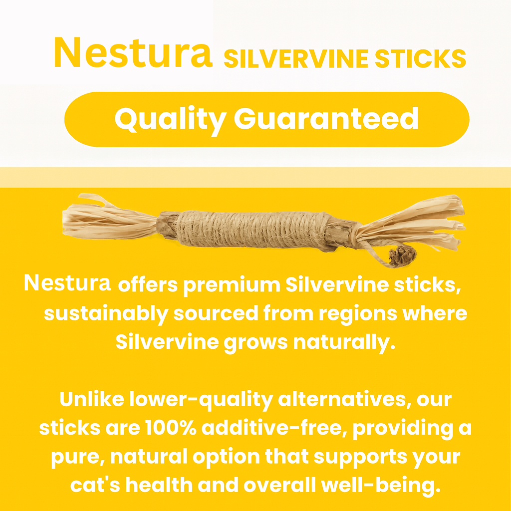 Nestura™ Natural Silvervine Dental Sticks