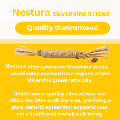Nestura™ Natural Silvervine Dental Sticks