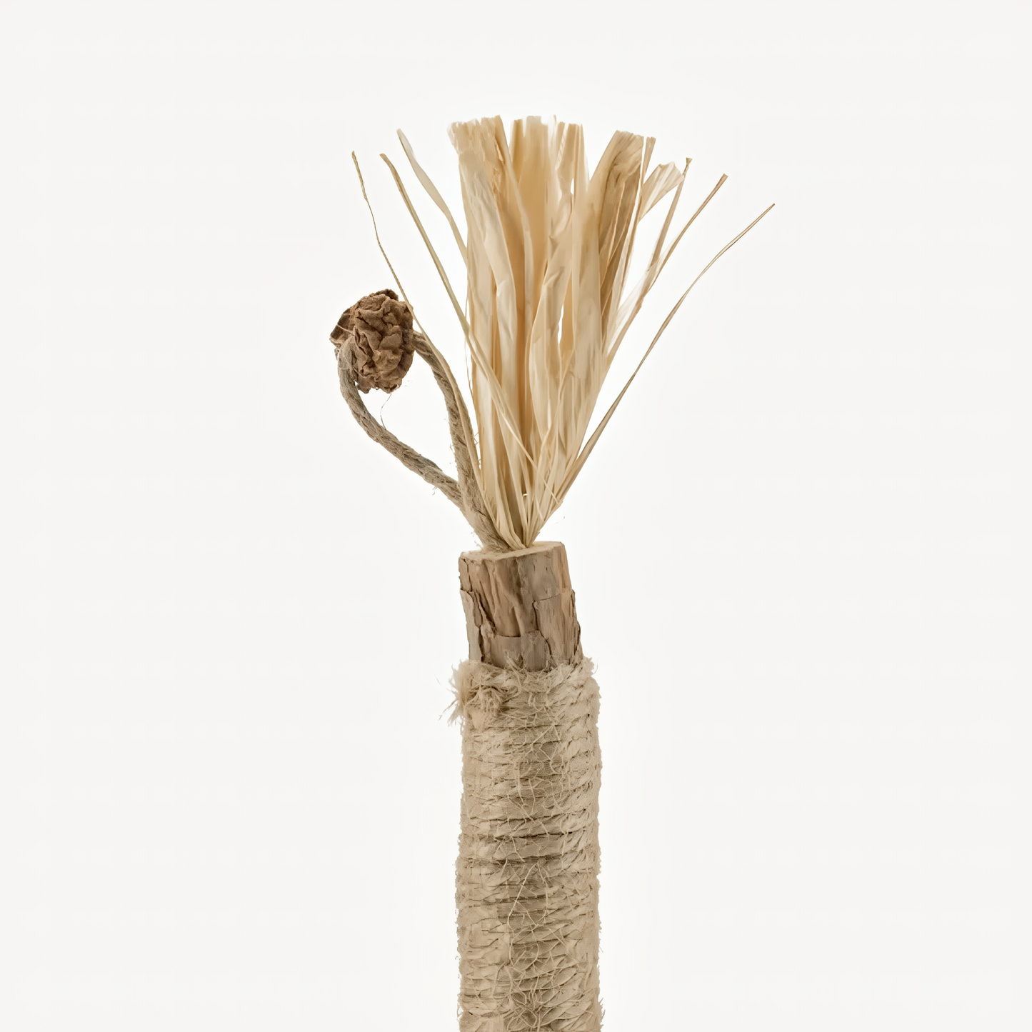 Nestura™ Natural Silvervine Dental Sticks